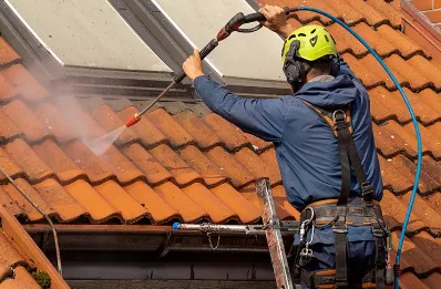 Démoussage et hydrofuge de toiture au Pompidou